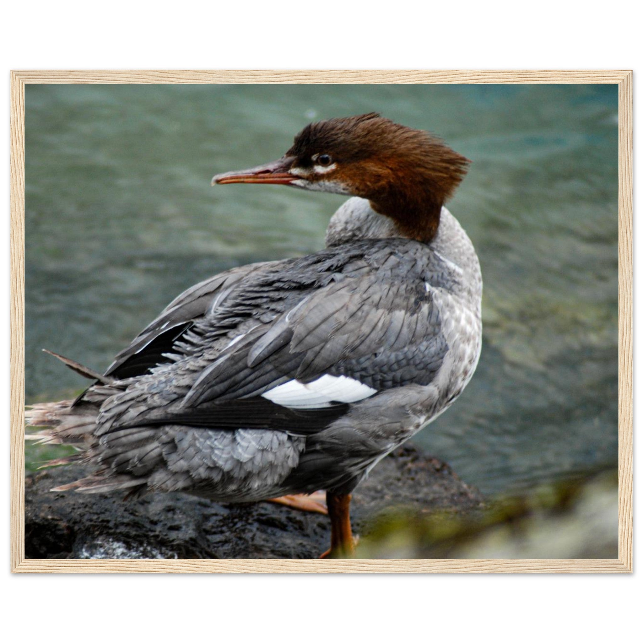 f5c7968b-8e38-42d7-ab7a-7a8d2d3d63e1