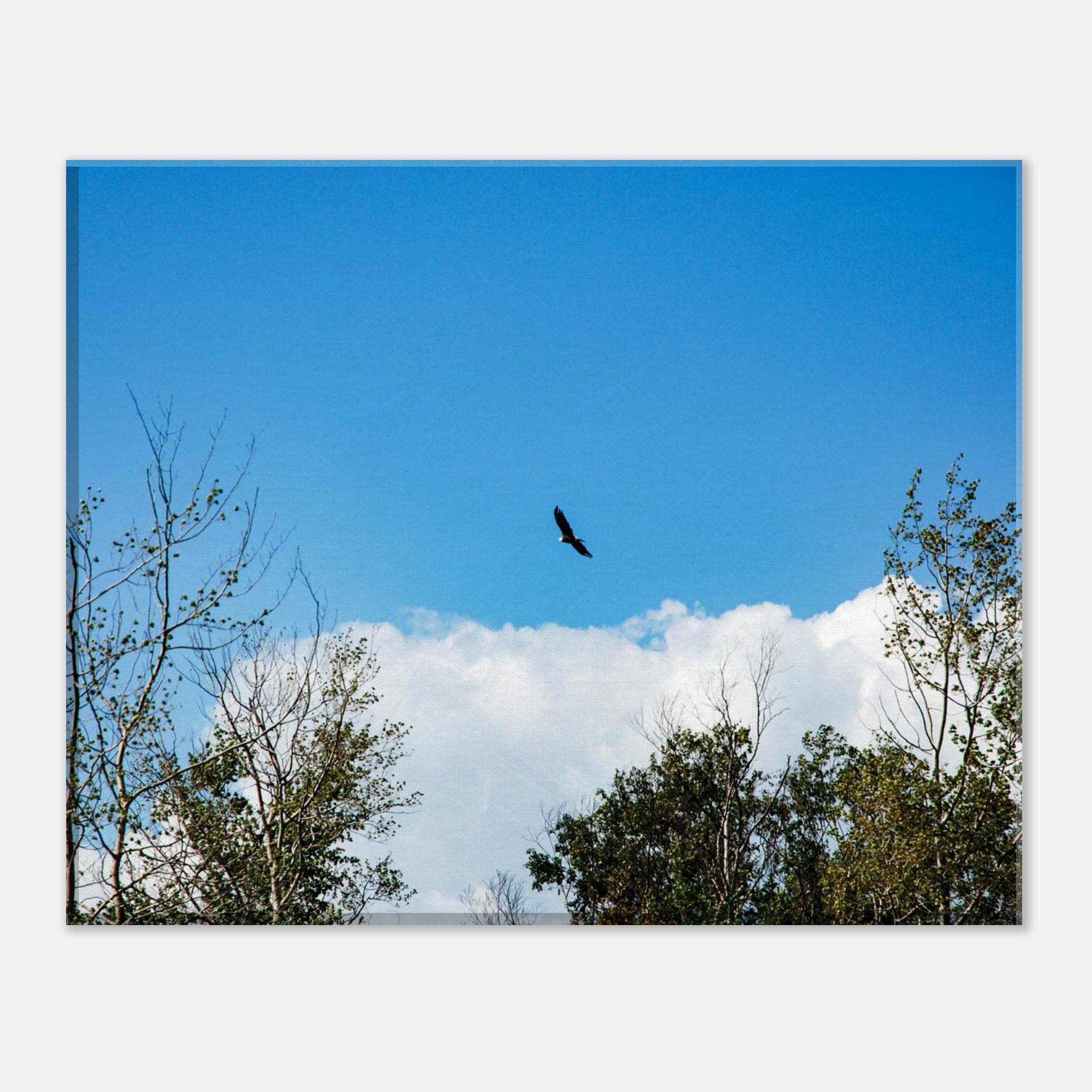 f5f88be9-76a1-4428-8eb4-e29f006713d5