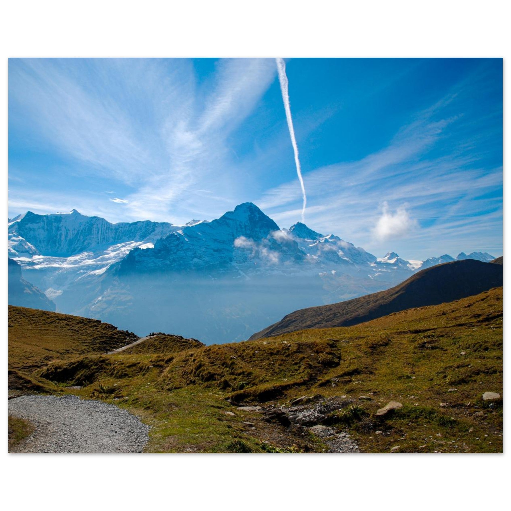 f6fcd00b-a175-438a-886d-c73cc63cff67