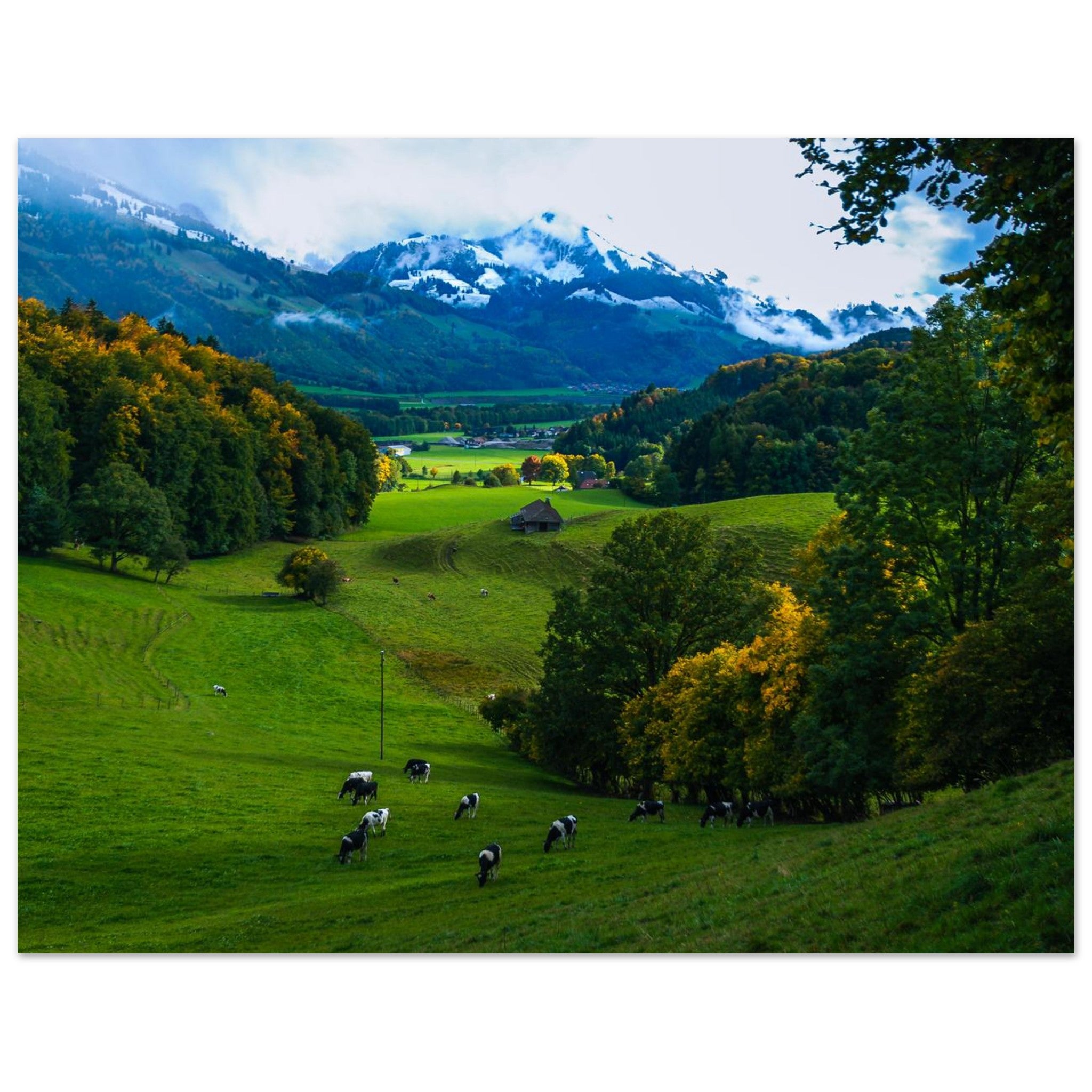 f70fe76b-548f-4ba1-ab4e-d2a8c76cb0ab