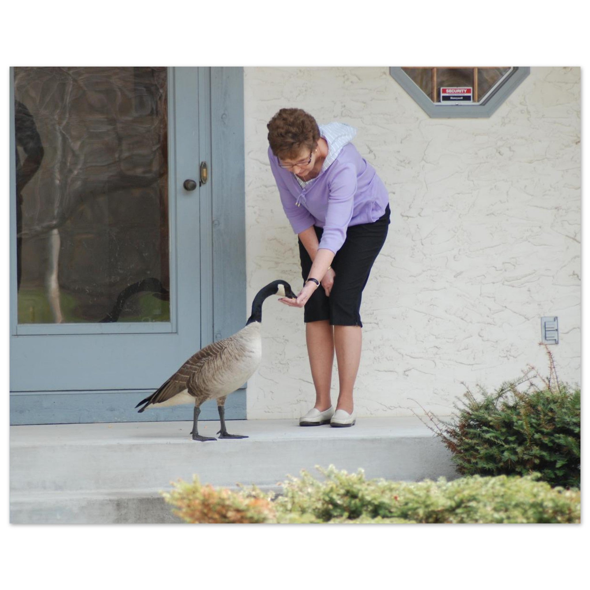 f7382cea-0c87-4a6c-bb46-db6a8a70f257