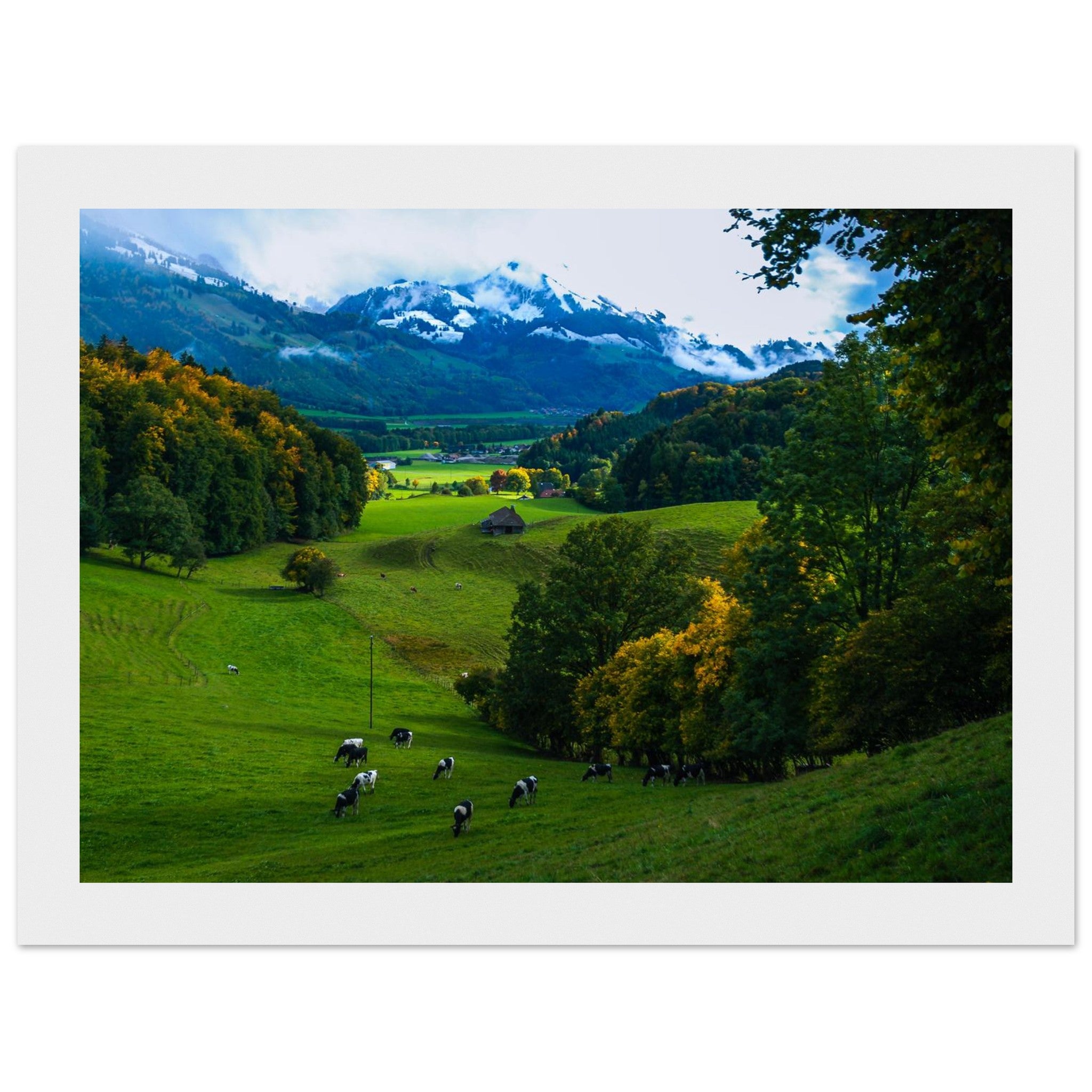 f7d93107-9ab3-4571-b9af-b52baff2c418