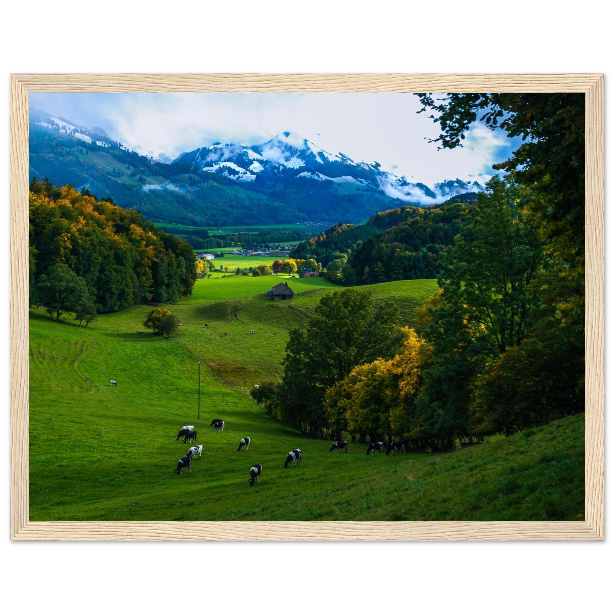 f885856a-2c76-4d6e-96cb-1452330dafdb