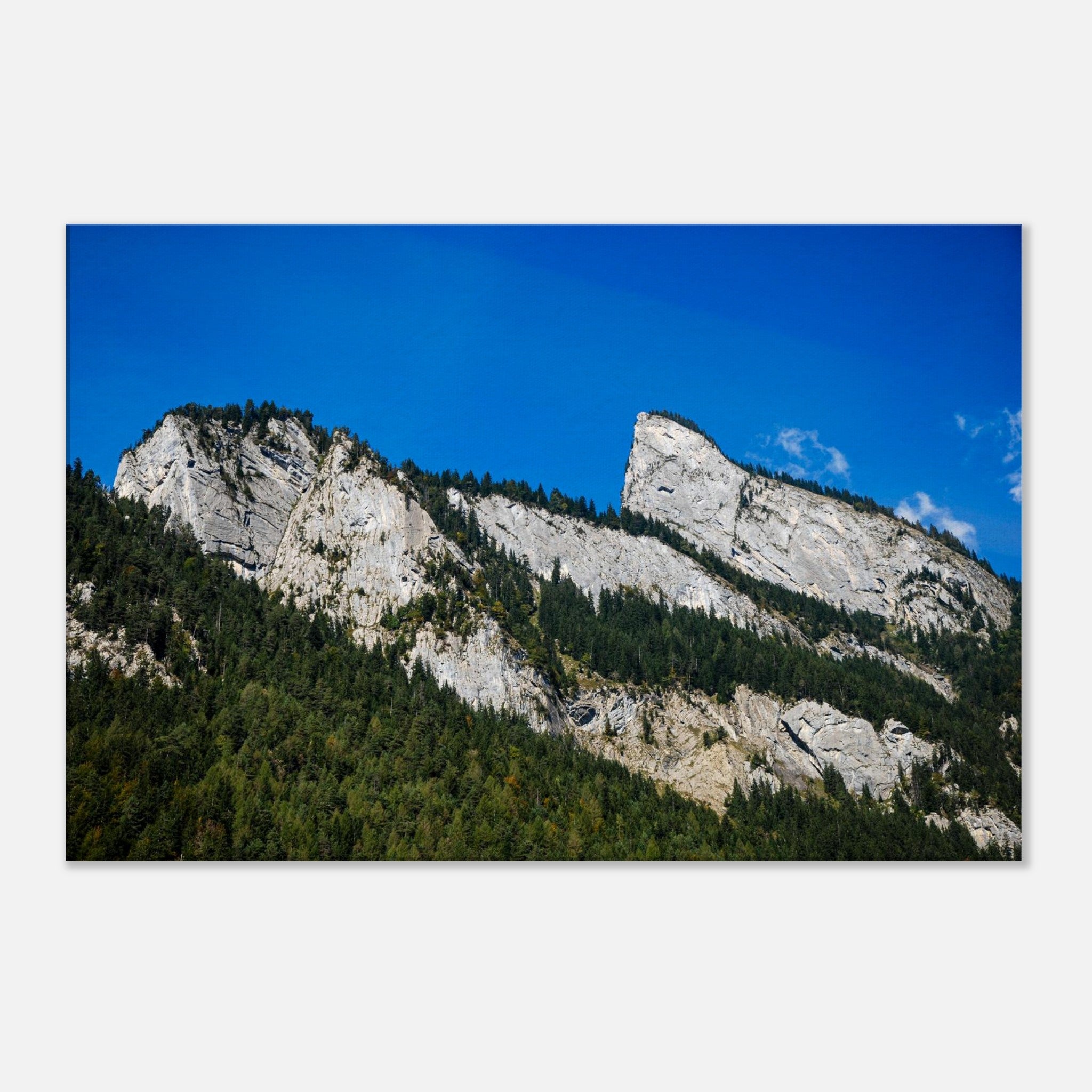 f8ba07a4-e612-432f-8af5-cc65de4558fb