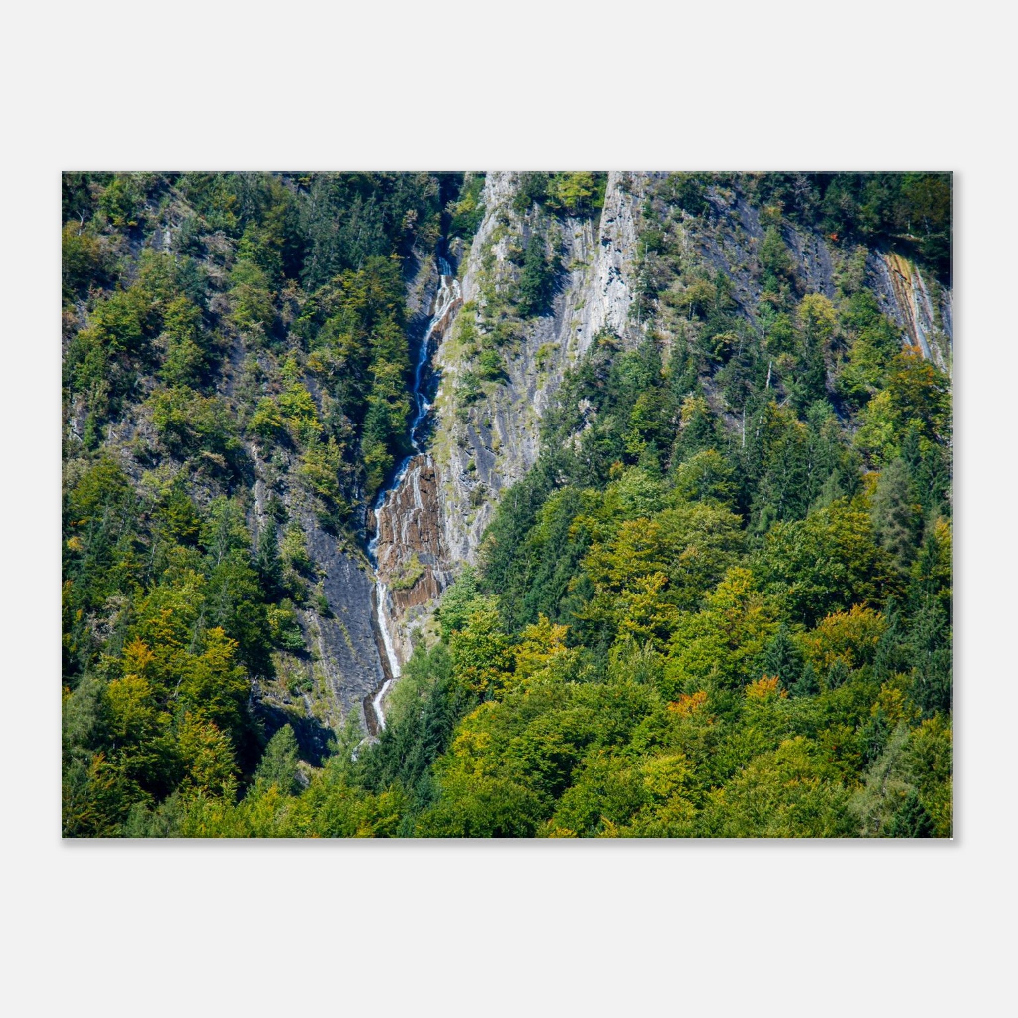 f9839289-0e99-4eac-b0e1-568248fdad06