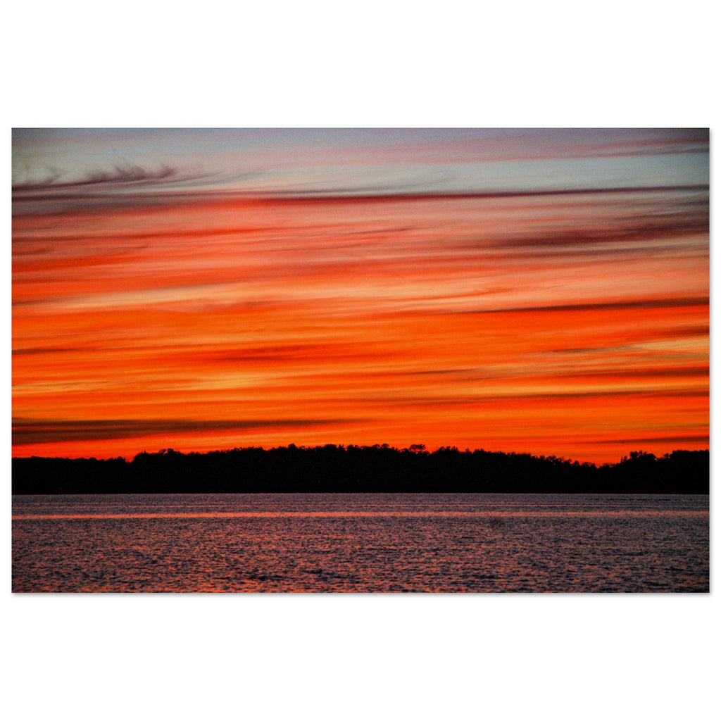 f9a87c16-7522-47c9-9769-d9cb4513df1d