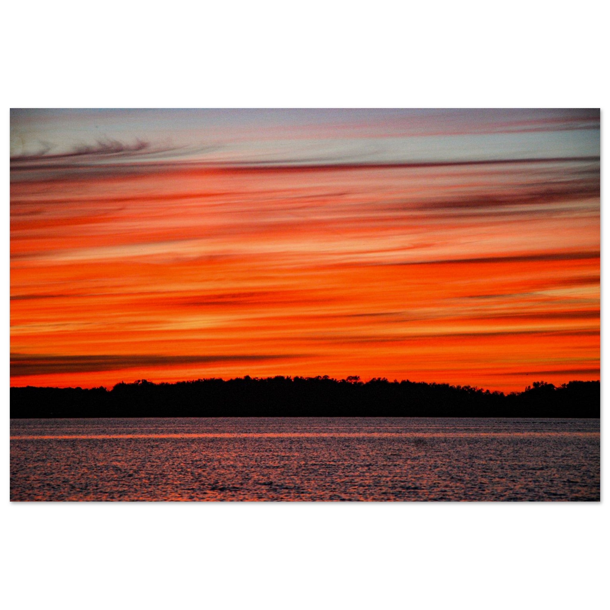 f9a87c16-7522-47c9-9769-d9cb4513df1d