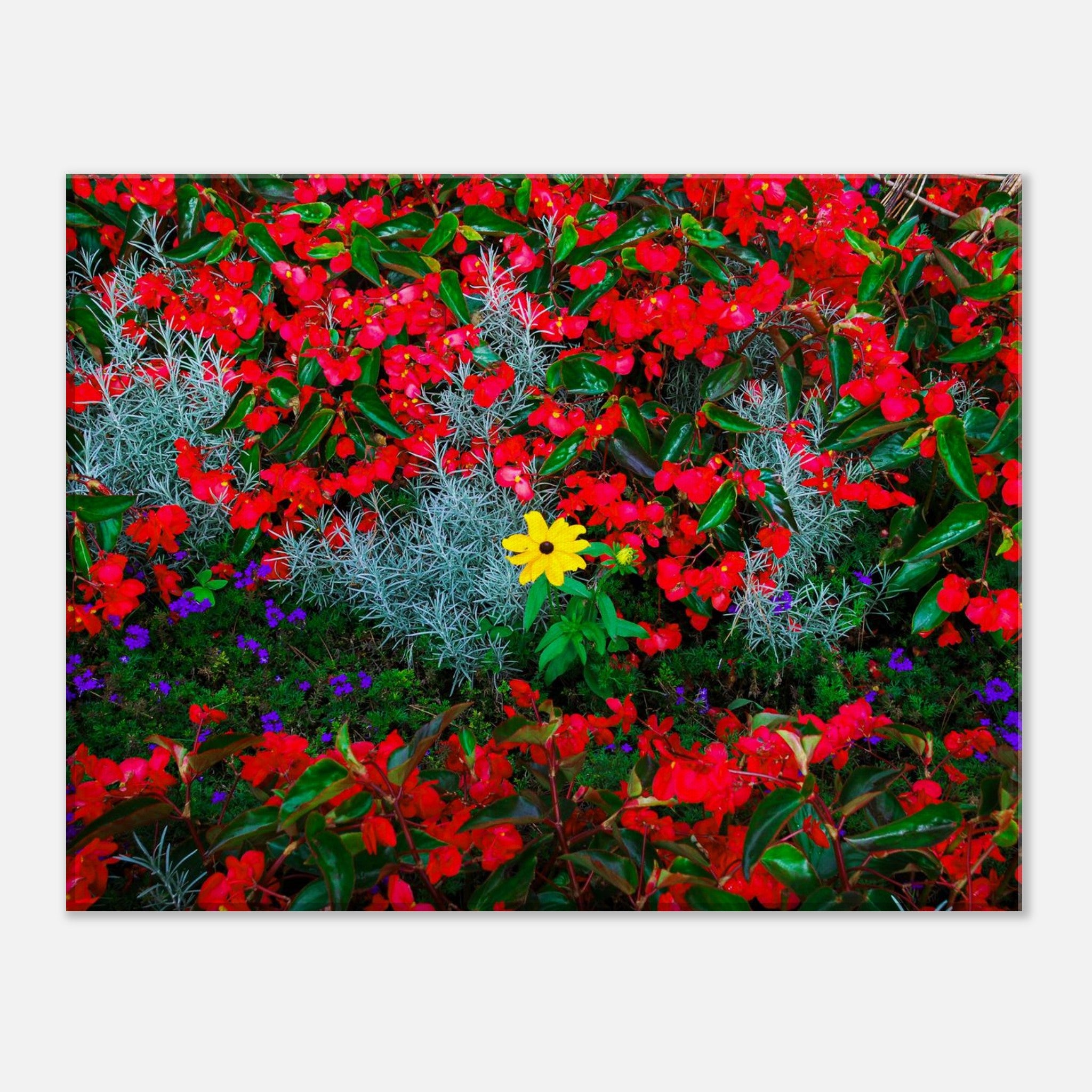 f9acf978-6aa9-4467-89d5-25a0d94d73b8