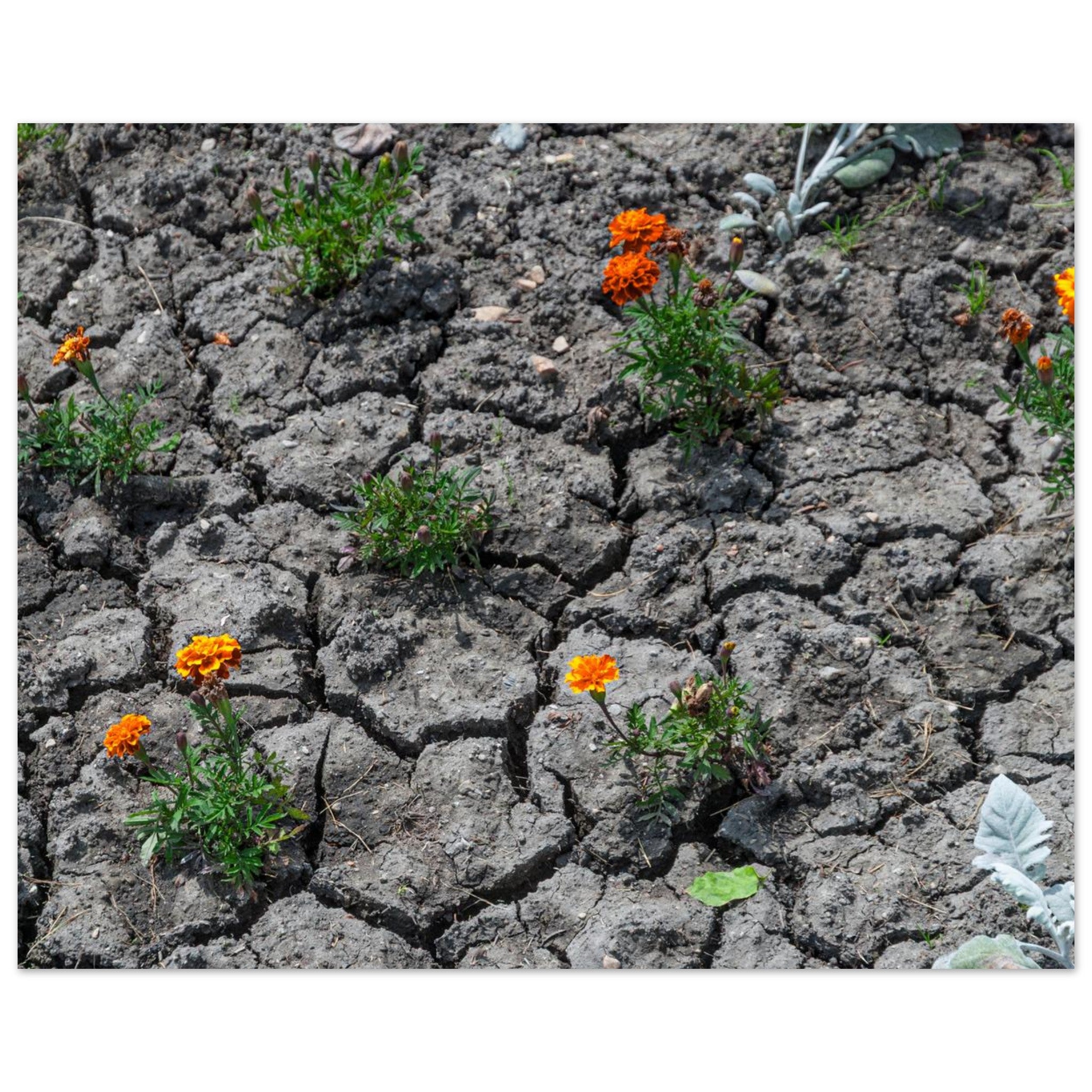 fa10e7cc-97b8-40f8-b56a-364a3fc5337a