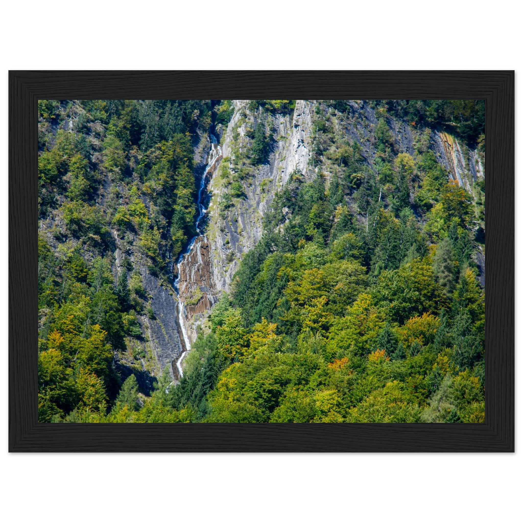 facbd68b-0c04-46ce-a514-3c6c55ea04d8