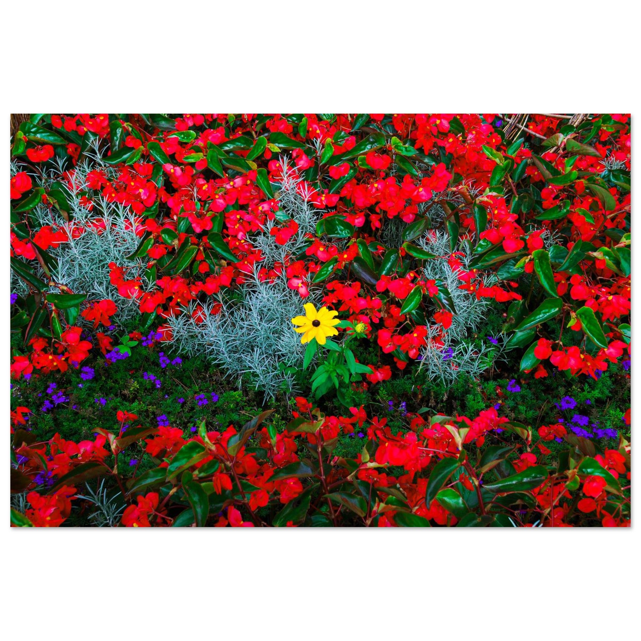 fc0a821b-8d56-4d63-a0f2-aa96e1bf56a7