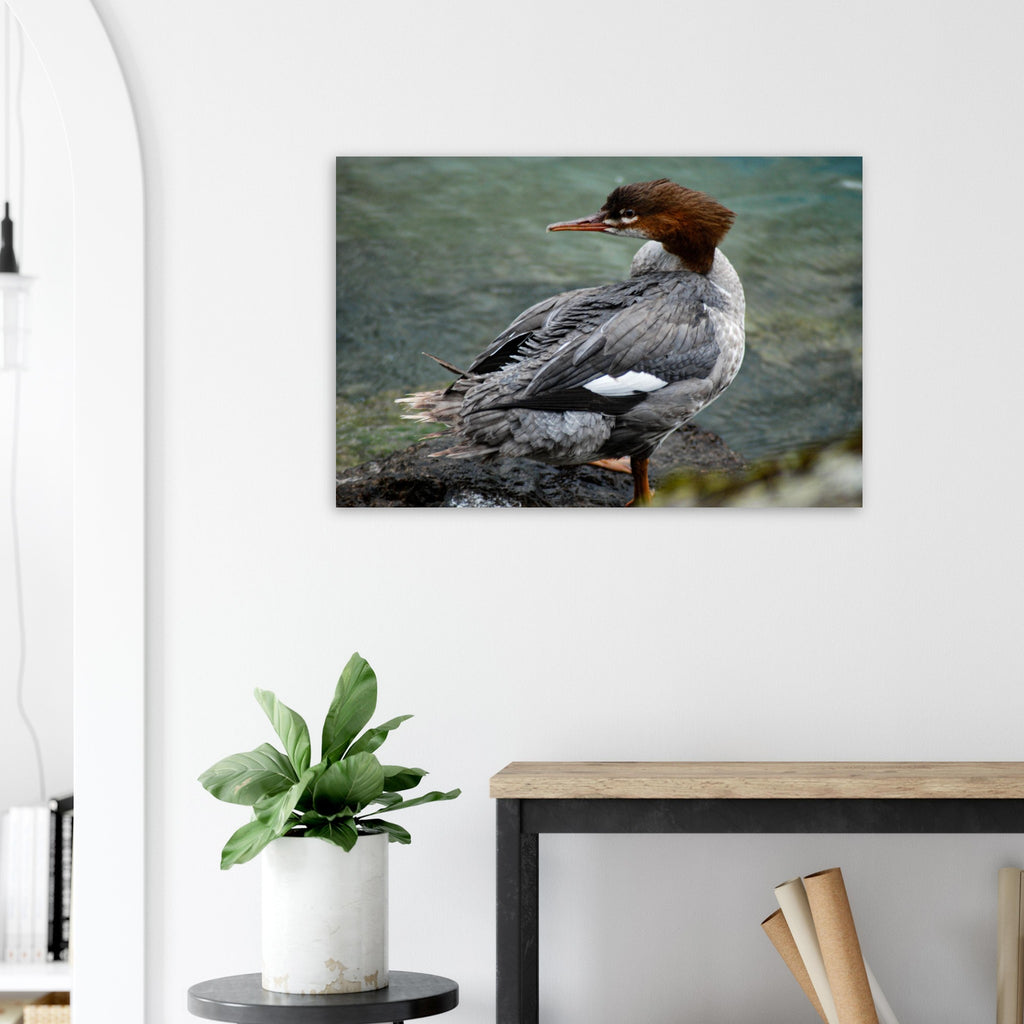 fc46f8b5-e1c3-46ba-b204-d1533cd7bbd4