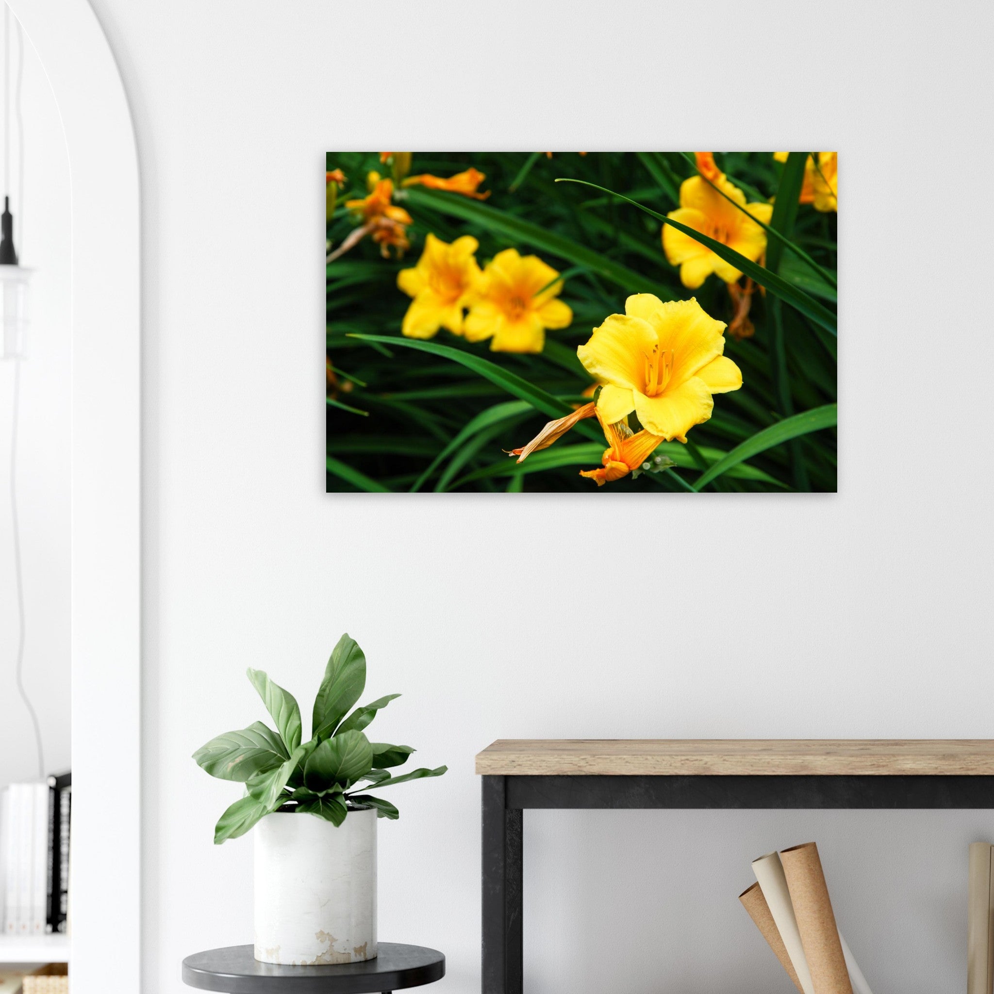 fe64f22b-9e75-4ee9-91a8-0ab46d42d26e