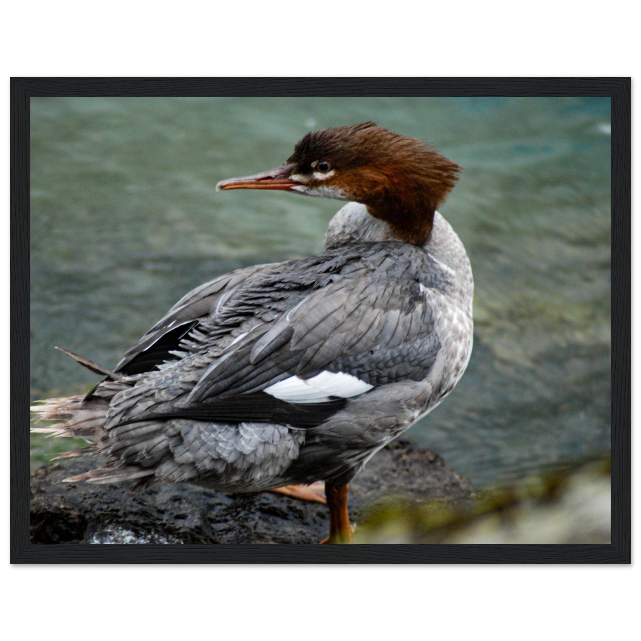 fe6a7990-27ec-4fd5-bb4f-7ec1489da66d