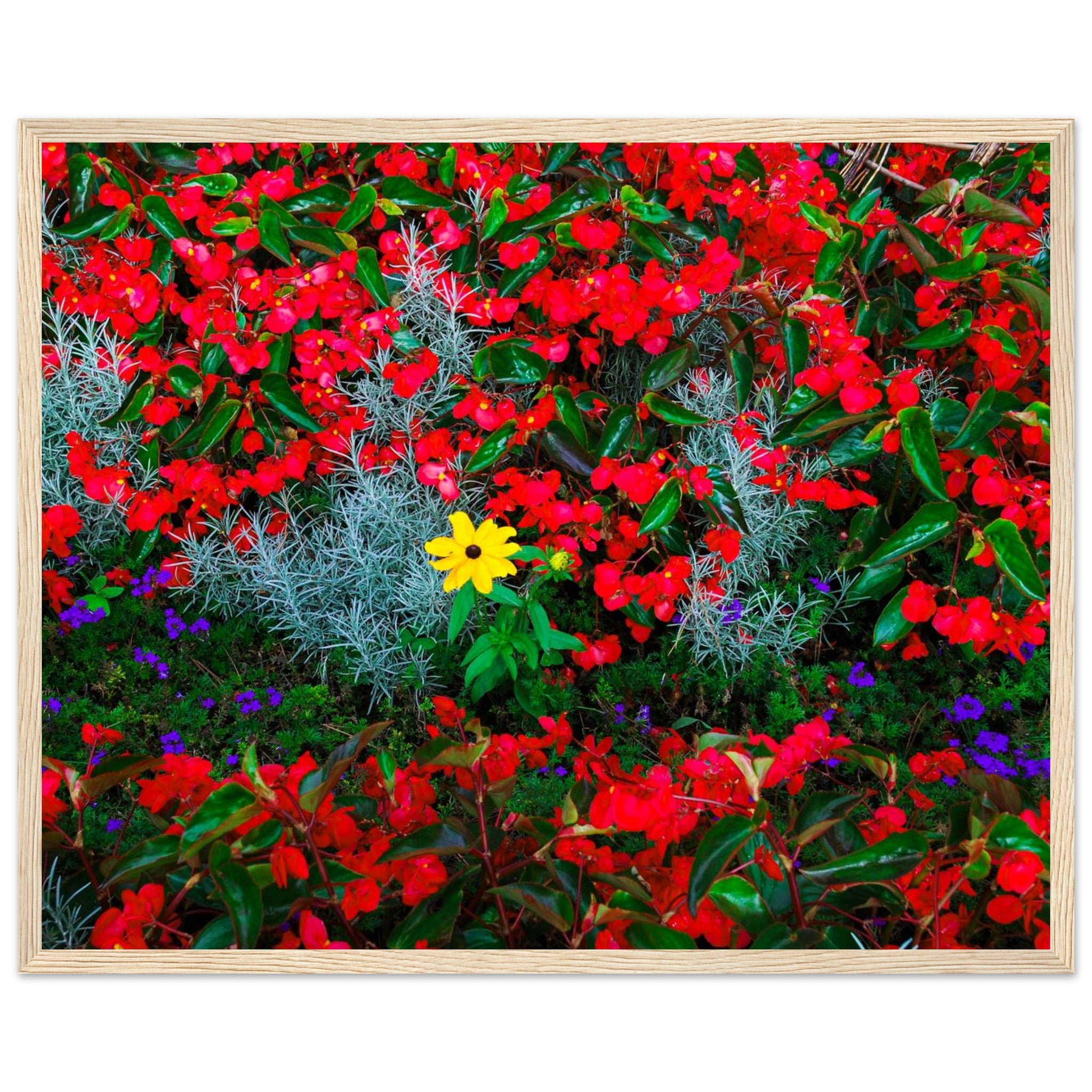 fef5c078-be65-47ca-a09f-8ebdec7353c7